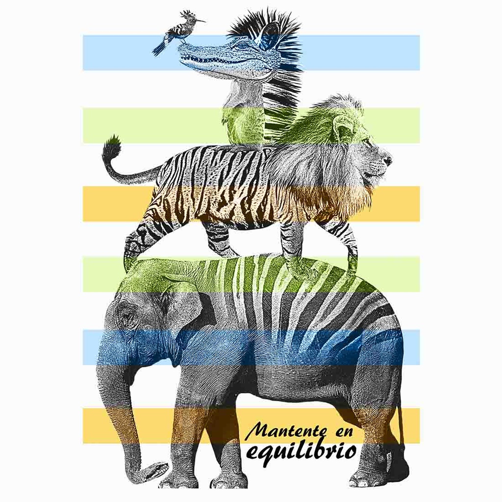 MANTENTE EN EQUILIBRIO CAMISETA MUJER