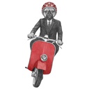 PERRO VESPA SUDADERA UNISEX