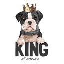 PERRO CORONA BOLSA TOTE