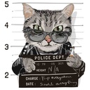 GATO FICHADO BOLSA TOTE CON BASE